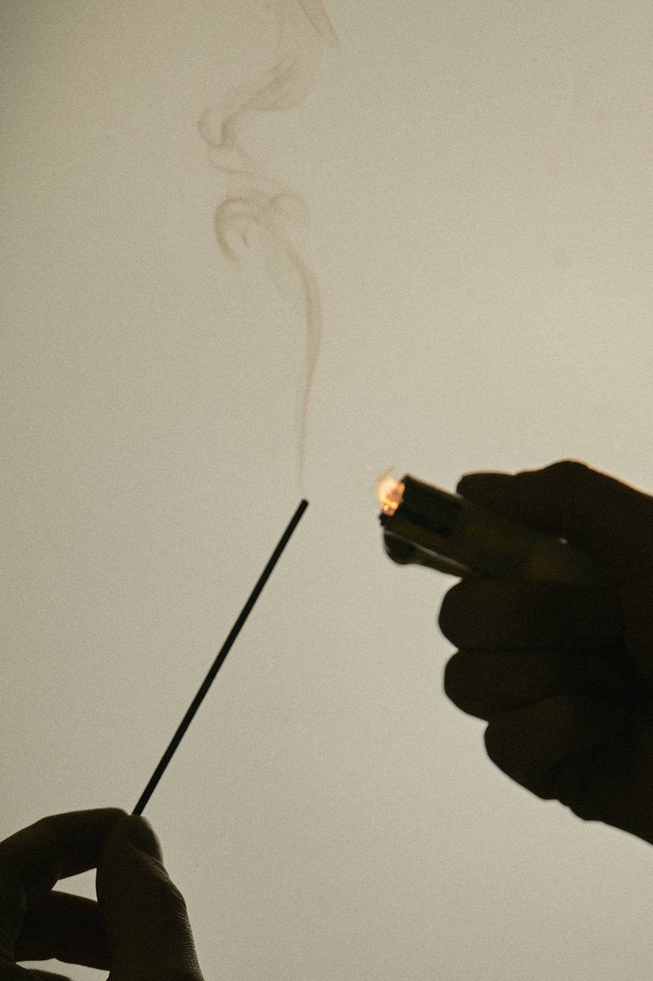 Earl of East Shinrin-Yoku Made in Japan Incense Sticks